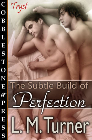 The Subtle Build of Perfection (2000)