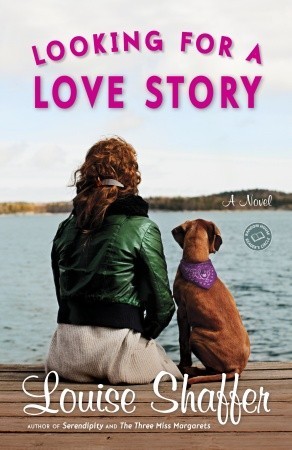 Looking for a Love Story (2010)