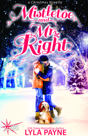 Mistletoe and Mr. Right (2014)