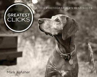 Greatest Clicks: A Dog Photographer's Best Shots