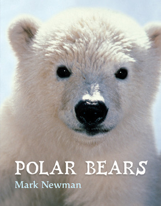 Polar Bears (2010)