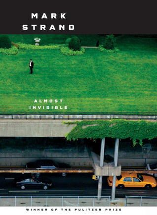 Almost Invisible: Poems