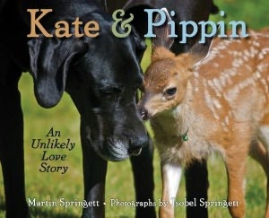 Kate & Pippin: An Unlikely Love Story (2012)