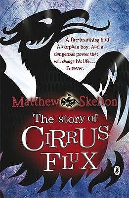 The Story of Cirrus Flux (2010)