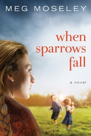 When Sparrows Fall (2011)