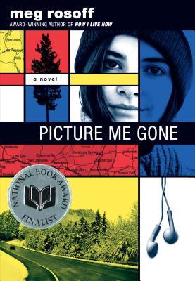 Picture Me Gone (2013)