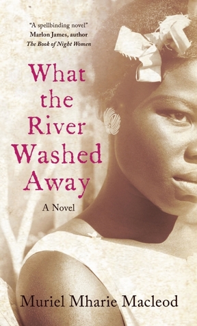 What the River Washed Away (2013)