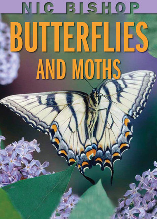 Butterflies And Moths (2009)