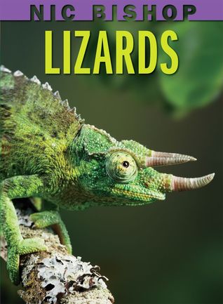 Lizards (2010)