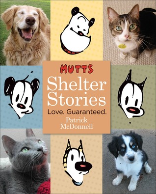 Shelter Stories