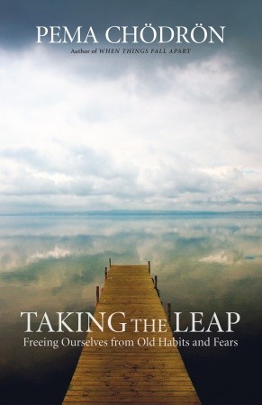Taking the Leap: Freeing Ourselves from Old Habits and Fears (2009)