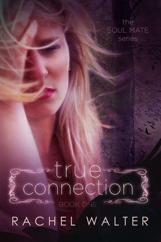 True Connection (2013)