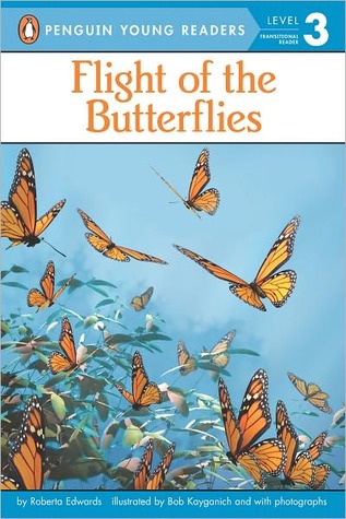Flight of the Butterflies (2010)