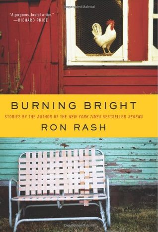Burning Bright: Stories (2010)