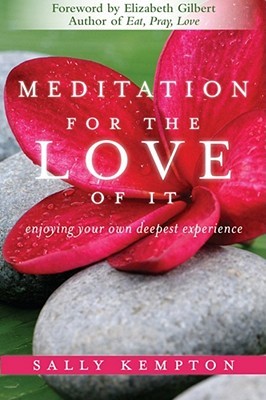 Meditation for the Love of It: Enjoying Your Own Deepest Experience (2010)