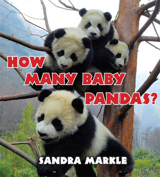 How Many Baby Pandas? (2009)