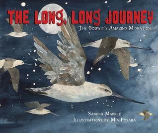 The Long, Long Journey: The Godwit's Amazing Migration (2013)