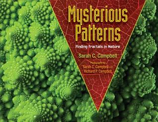 Mysterious Patterns: Finding Fractals in Nature (2014)