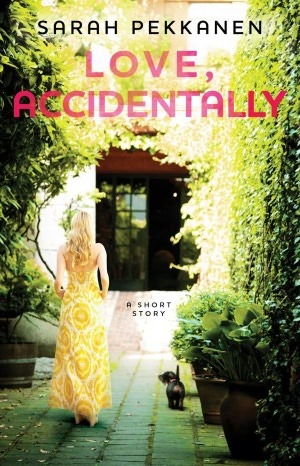Love, Accidentally (2011)
