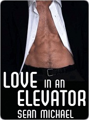 Love in an Elevator (2007)