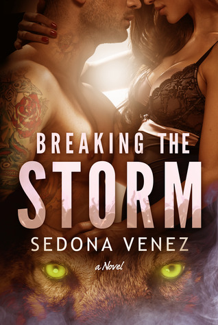 Breaking the Storm (2013)