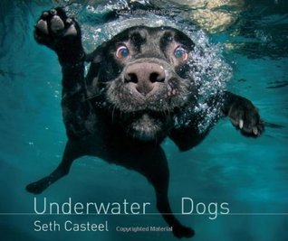 Underwater Dogs (2012)