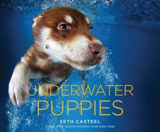 Underwater Puppies (2014)