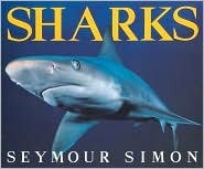 Sharks (1995)