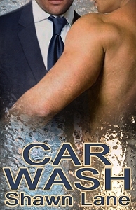 Car Wash (2009)