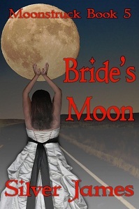 Bride's Moon (2012)
