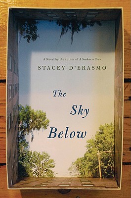 The Sky Below (2009)
