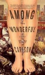 Among the Wonderful: A Novel