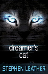 Dreamer's Cat