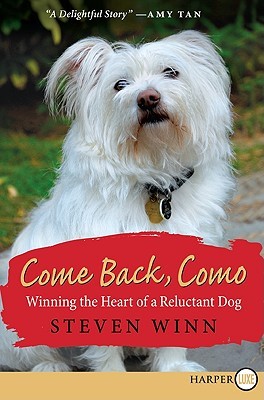 Come Back, Como LP: Winning the Heart of a Reluctant Dog