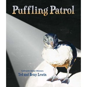 Puffling Patrol