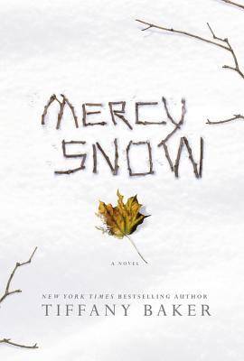 Mercy Snow (2014)