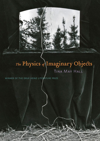 The Physics of Imaginary Objects (2010)