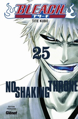 Bleach, Tome 25: No Shaking Throne (2008)