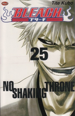 Bleach Vol. 25: No Shaking Throne
