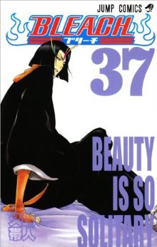 Bleach, Vol. 37: Beauty is so Solitary (2000)