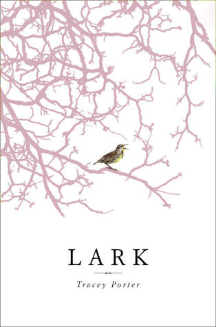 Lark (2011)