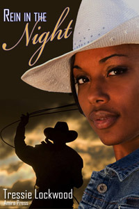 Rein in the Night [Interracial Cowboy Romance]