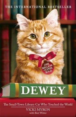 Dewey The Small-Town Library Cat Who Touched the World
