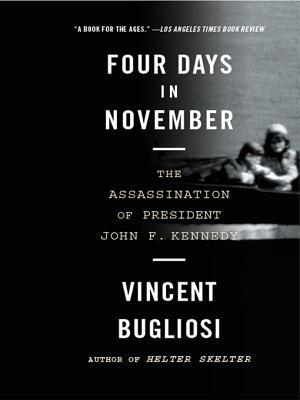 Four Days in November: The Assassination of President John F. Kennedy (2007)