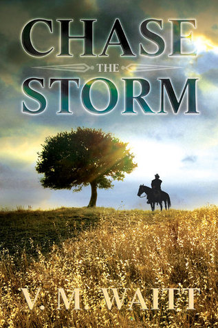 Chase the Storm (2013)