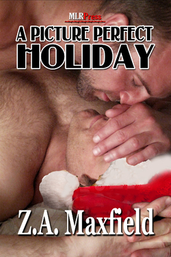 A Picture Perfect Holiday (2011)
