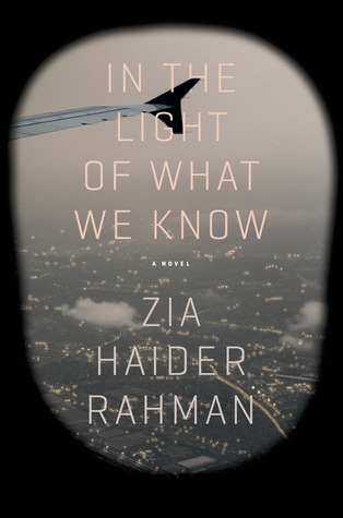 In the Light of What We Know: A Novel (2014)